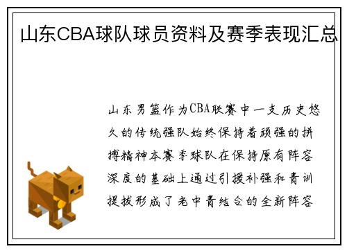 山东CBA球队球员资料及赛季表现汇总