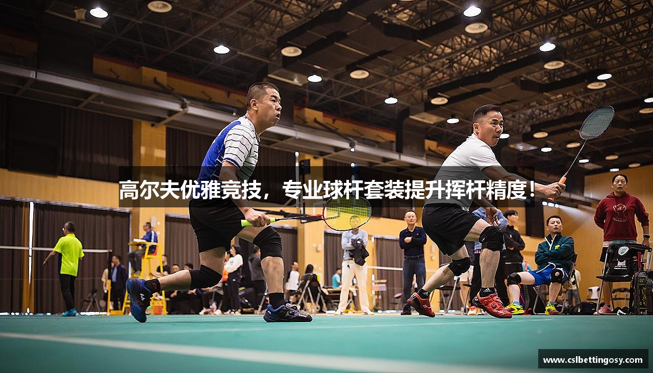 高尔夫优雅竞技，专业球杆套装提升挥杆精度！